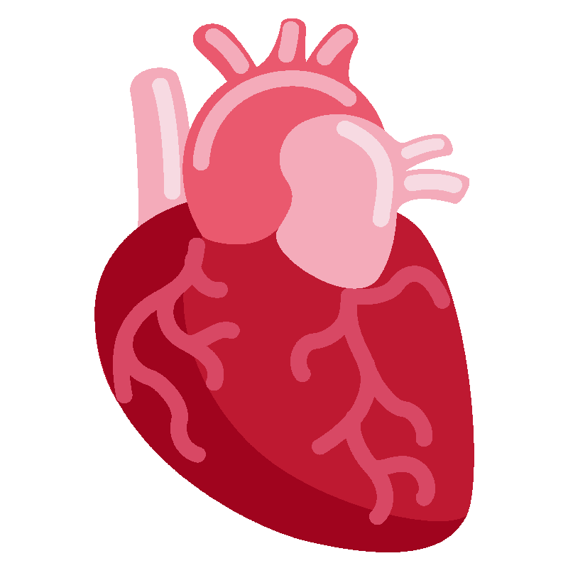 Sticker Anatomical Heart