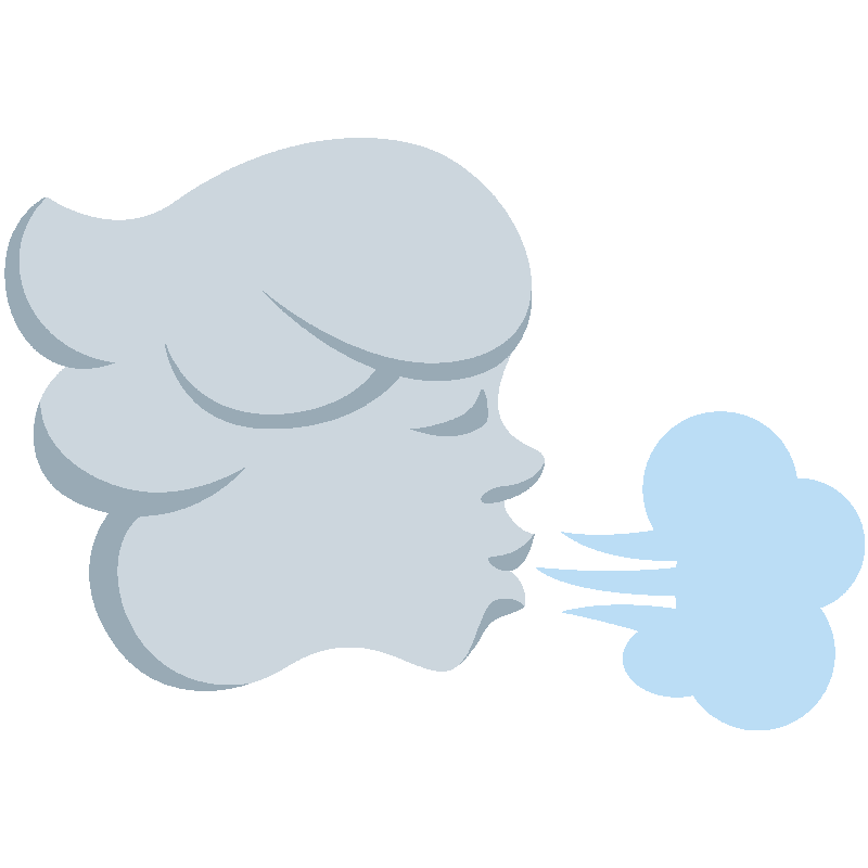 Sticker Wind Face